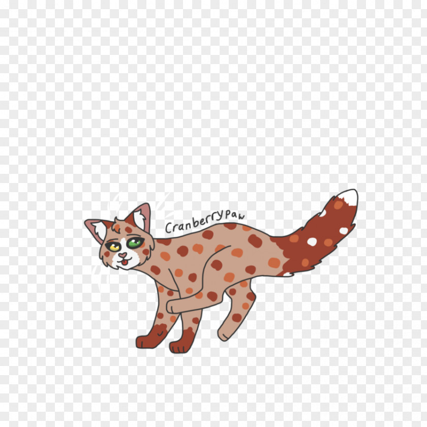 Cat Whiskers Red Fox Cougar Dog PNG