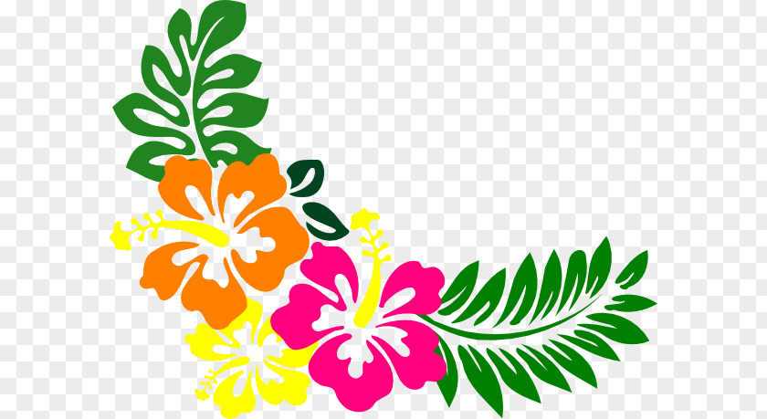 Clusters Clipart Clip Art Hawaiian Hibiscus Shoeblackplant Tea Free Content PNG