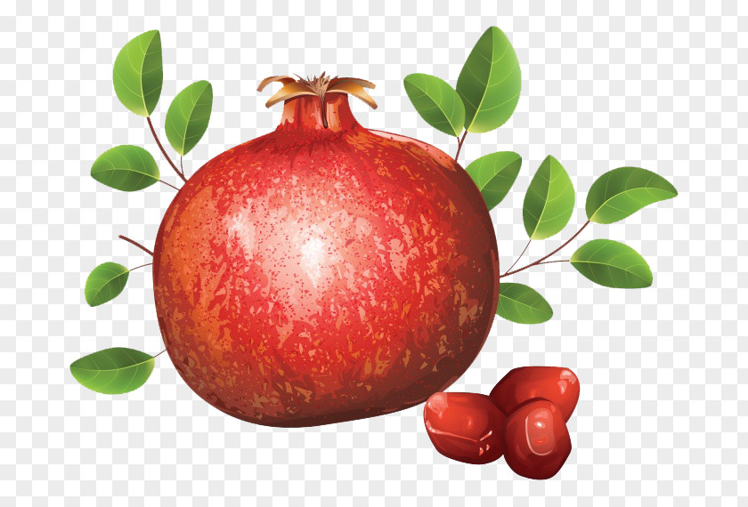 Hand-painted Pomegranate Royalty-free Clip Art PNG