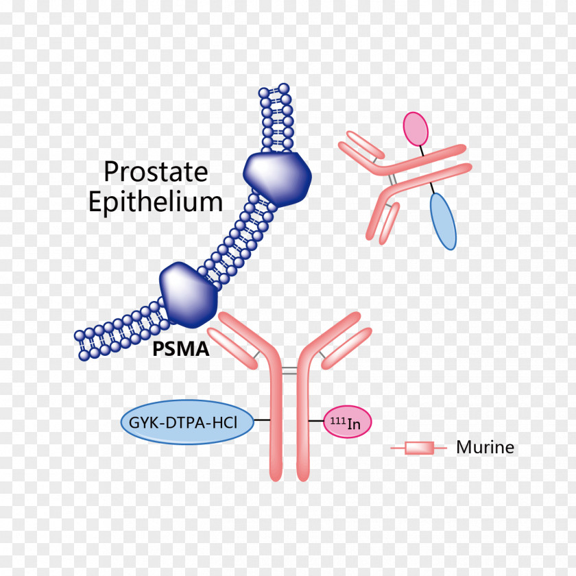 Meningococcal Vaccine Obinutuzumab Vemurafenib Trastuzumab Emtansine Rituximab Pharmaceutical Drug PNG