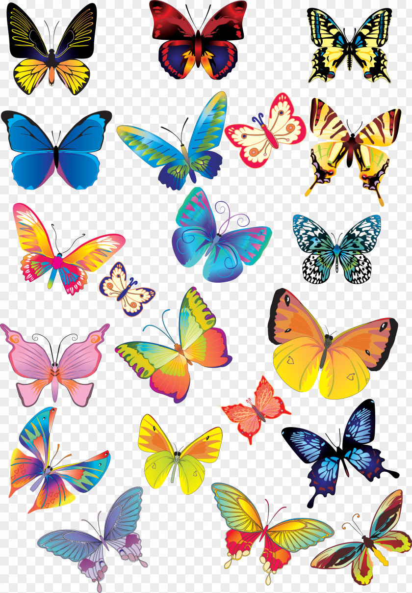 Beautiful Butterfly Clip Art PNG