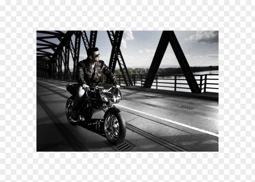 Motorcycle Blouson Perfecto Jacket Personal Protective Equipment PNG