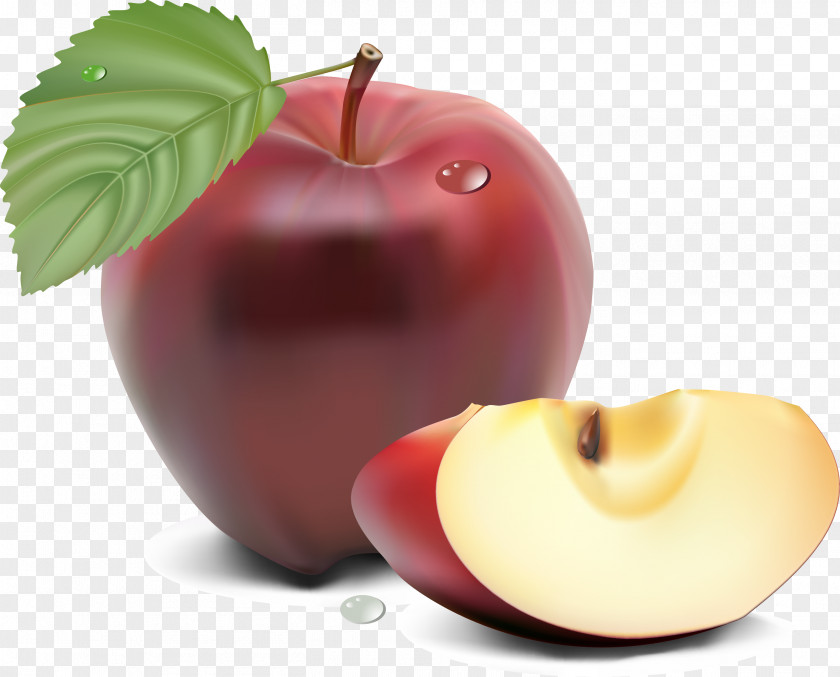 Realistic Apple Vector Fruit Blueberry Cicadas PNG