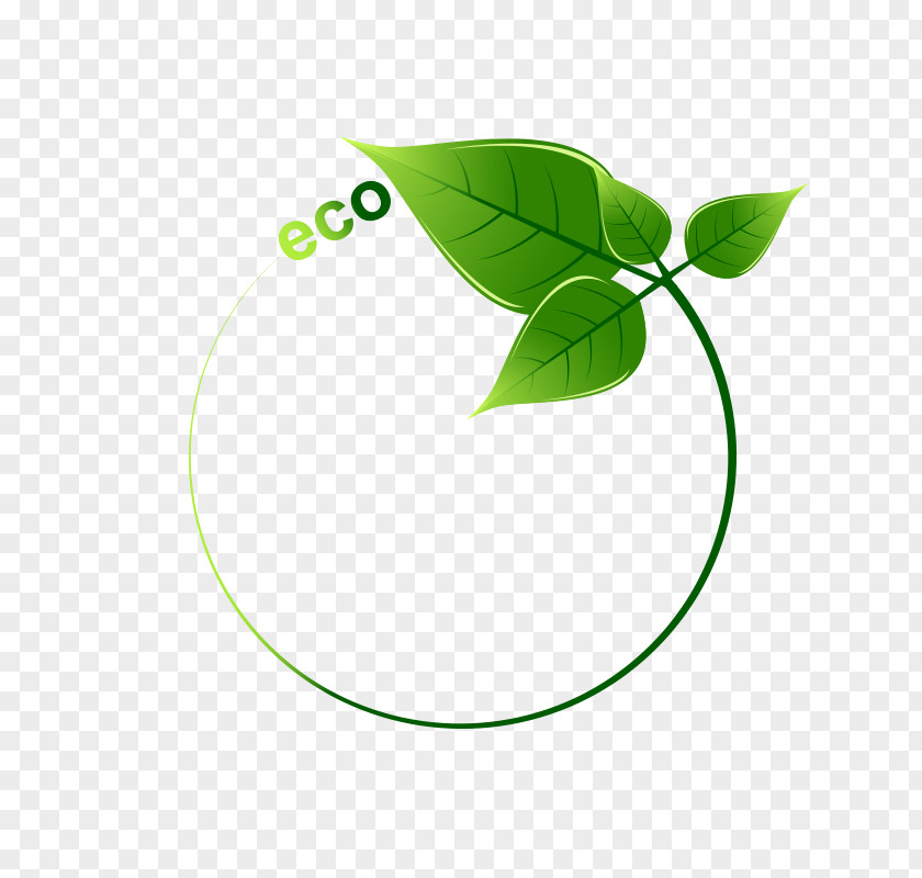 Surrounded By Green Leaves Eco Facebook Icon PNG