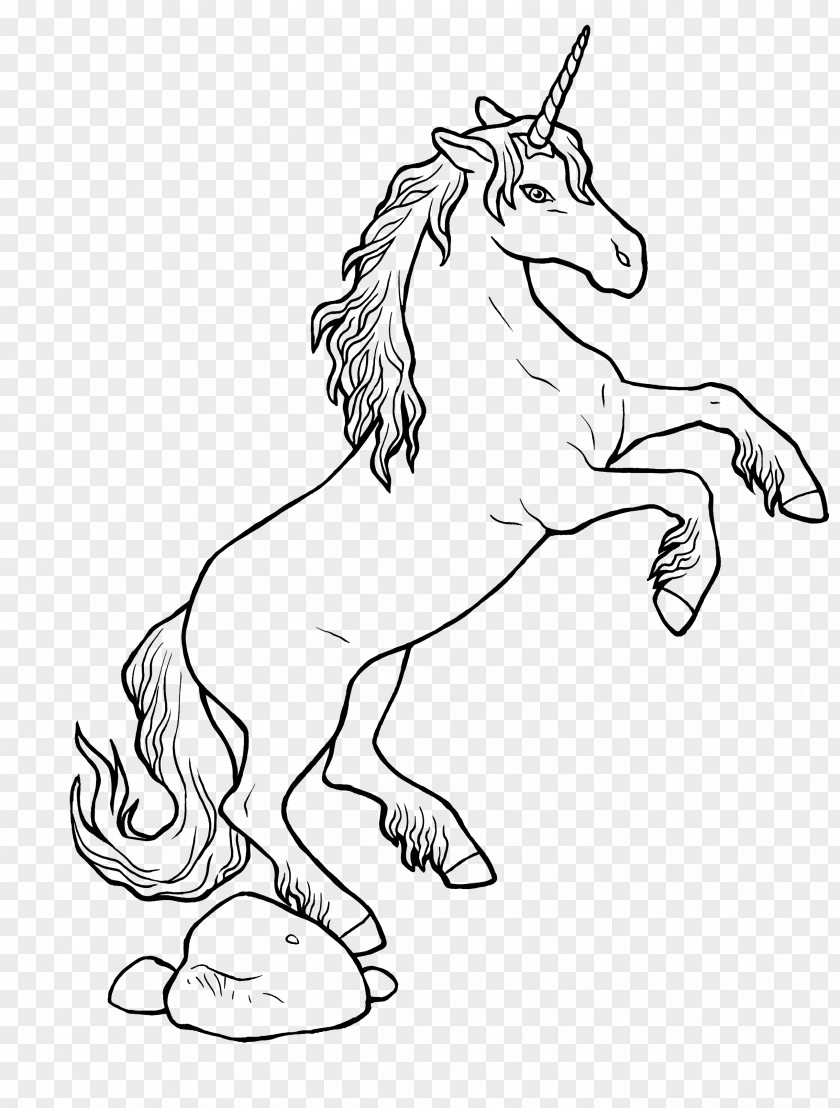 Unicorn Ausmalbild Coloring Book Horse Legendary Creature PNG