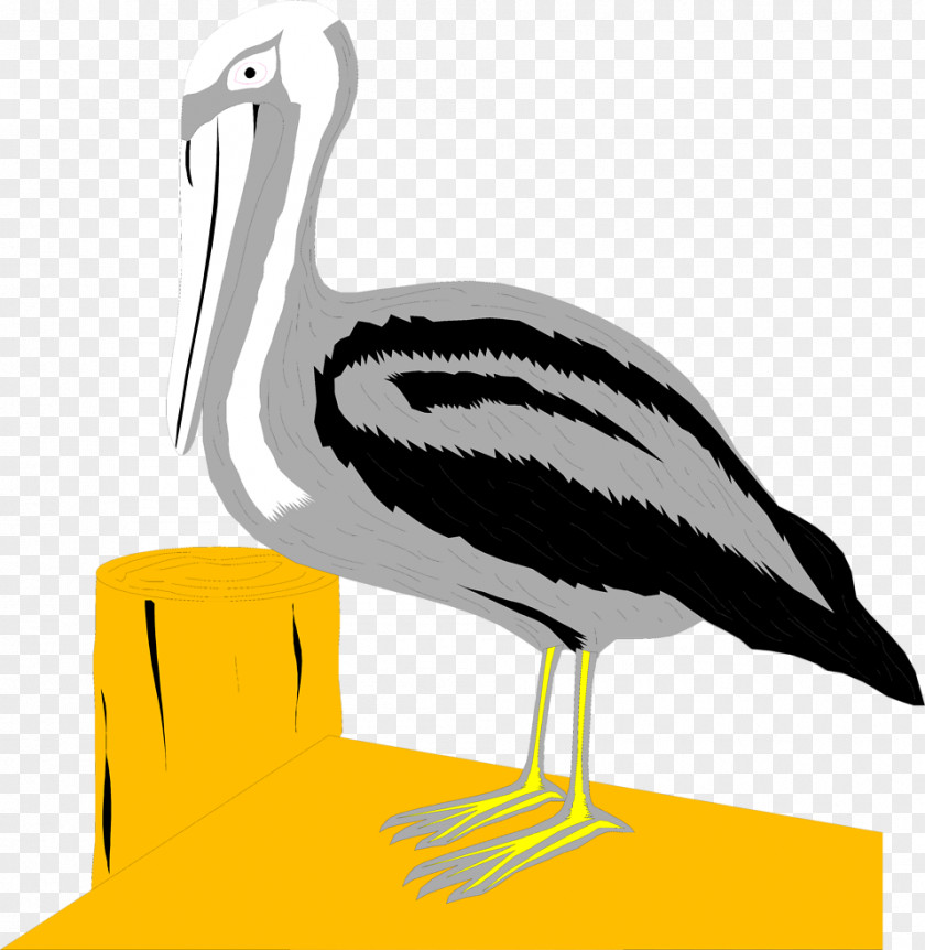 Water Bird Pelican Dock Clip Art PNG