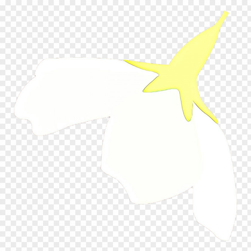 White Yellow Starfish Star Logo PNG