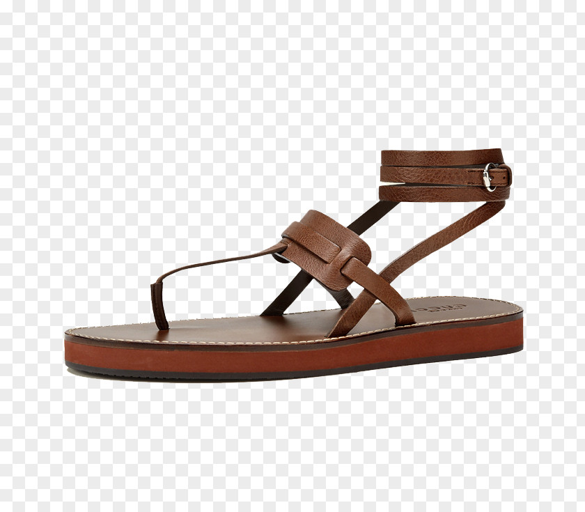 Brown European Style Flat Sandals Sandal Shoe PNG