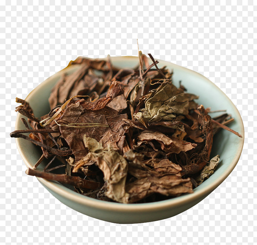 Houttuynia Tea Nilgiri Chameleon Plant Hu014djicha Romeritos PNG