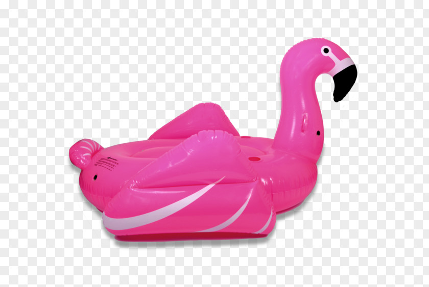 Pool Toy Flamingo Swim Ring Swimming Web Browser PNG