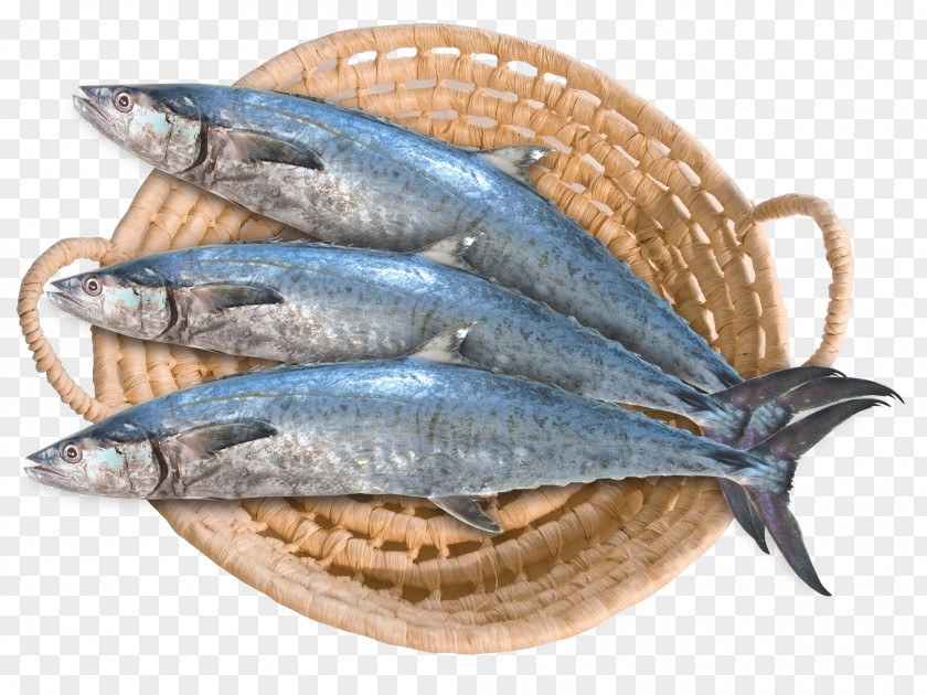 Seafood Saudi Arabia Bahrain Fisheries Narrow-barred Spanish Mackerel PNG