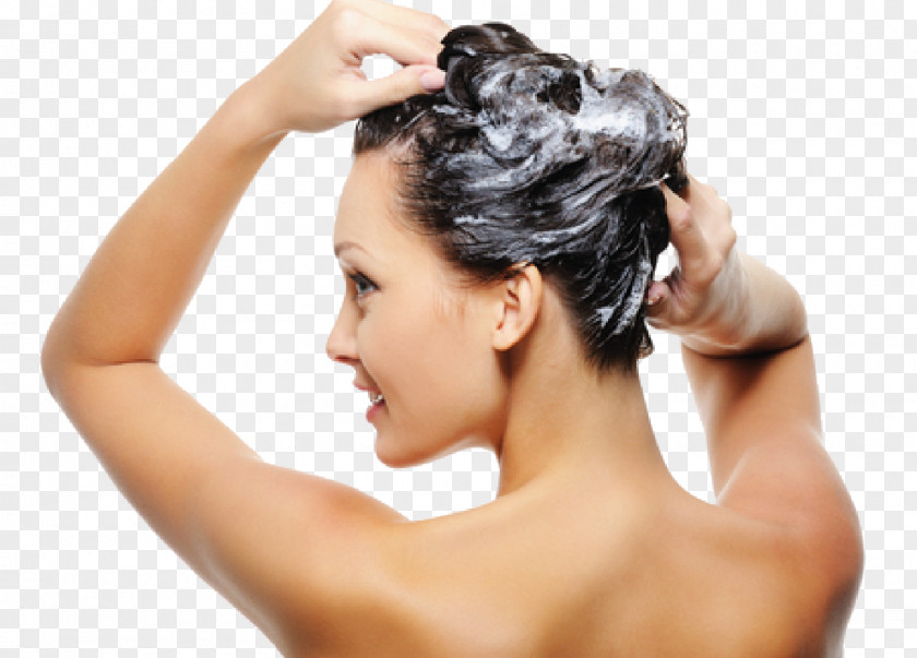 Caring Shampoo Hair Care Washing Conditioner PNG
