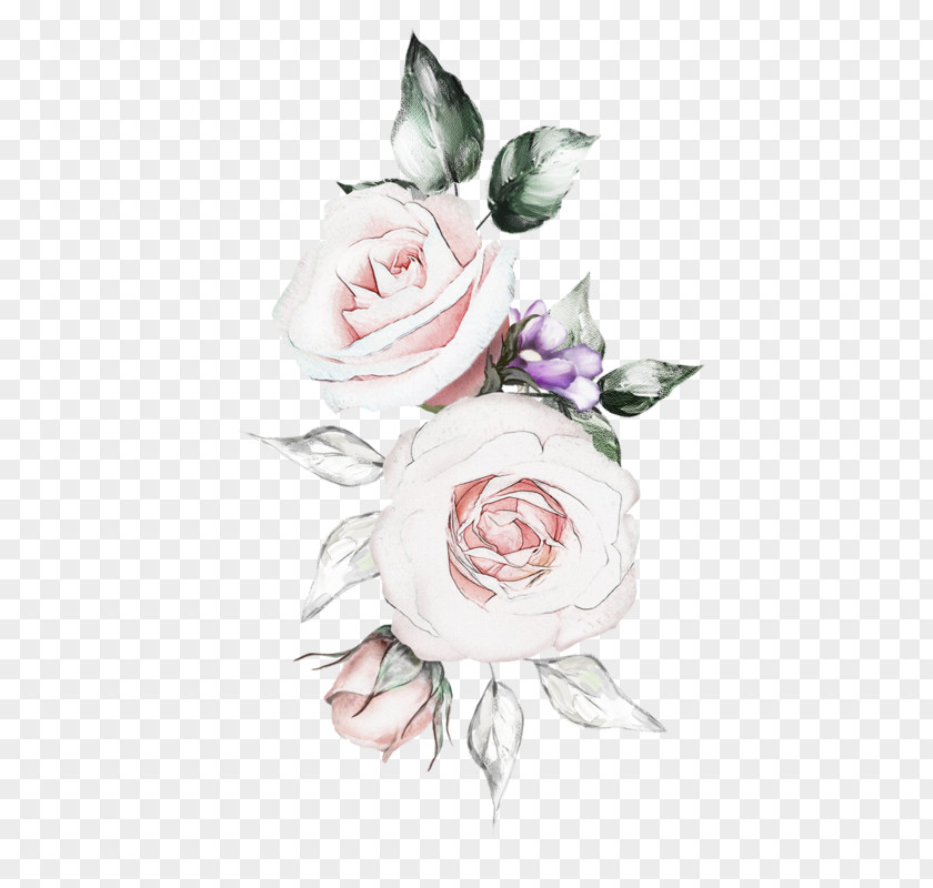 Garden Roses PNG