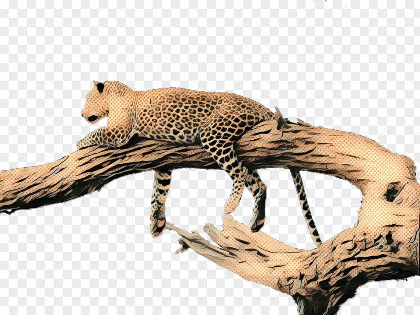 Jaguar African Leopard Retro Background PNG