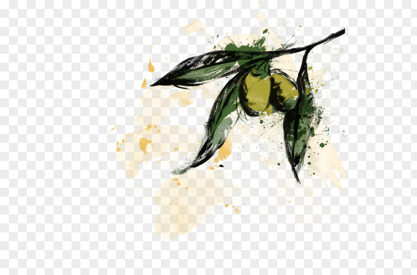 Lemon Juice Splash Desktop Wallpaper Olive Oil PNG