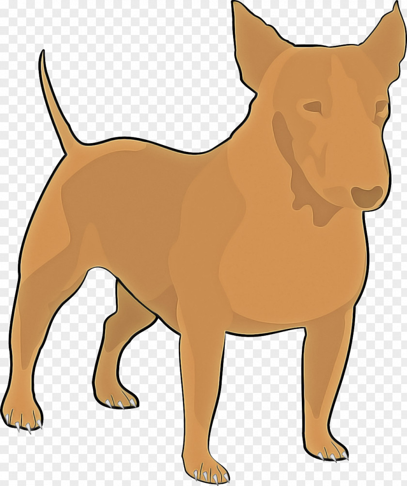 Rare Breed Dog Ancient Breeds Fawn (dog) PNG