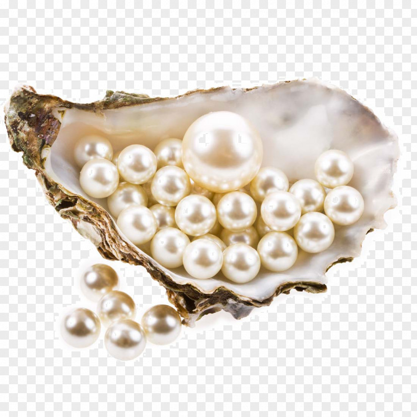 Shell Pearl Inside Pictures Sunscreen Mask Skin Recipe Facial PNG