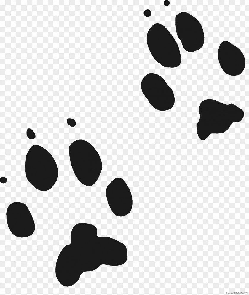 Wolf Red Fox Gray Animal Track Cougar PNG