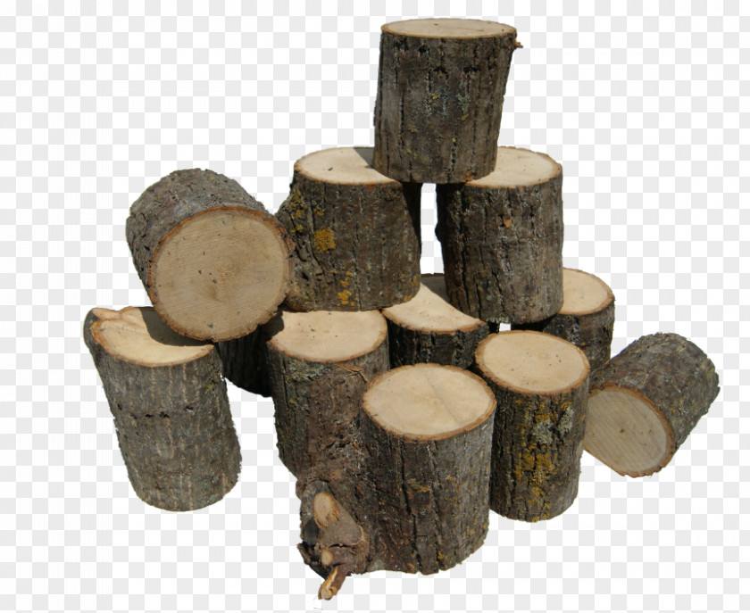 Wood Woodworking /m/083vt Tree PNG