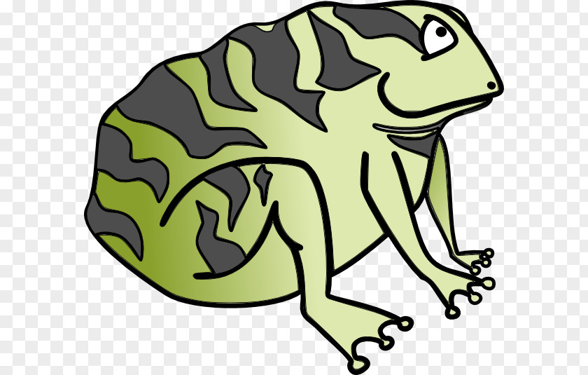 Cartoon Toads Frog Toad Clip Art PNG