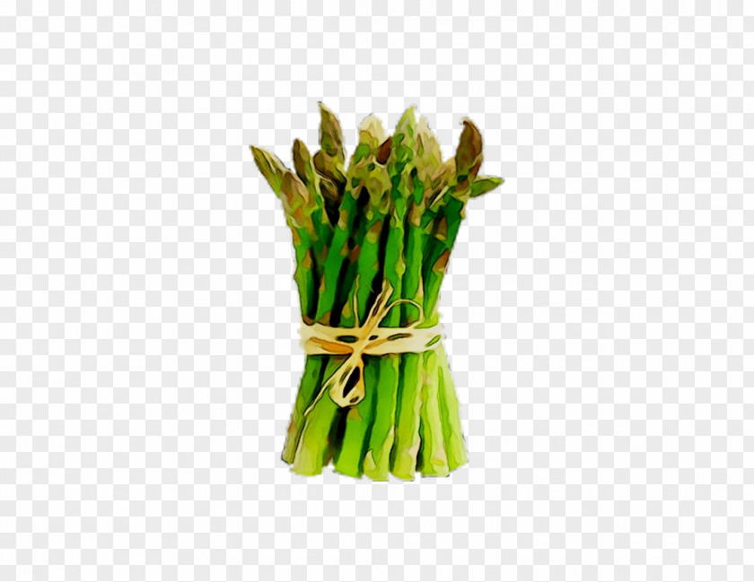 Commodity Green Bean Scallion Asparagus PNG