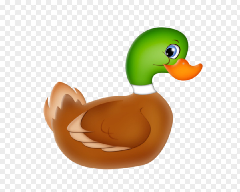 Duck Baby Duckling Desktop Wallpaper Clip Art PNG