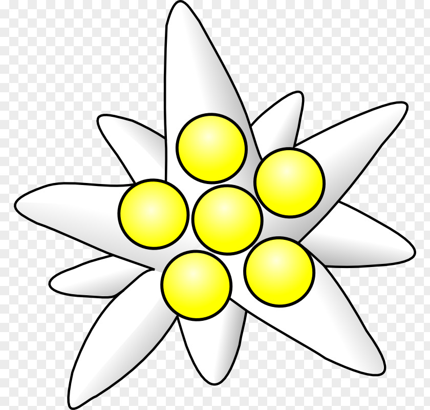 Edelweiss Flower Tattoo Download Clip Art PNG