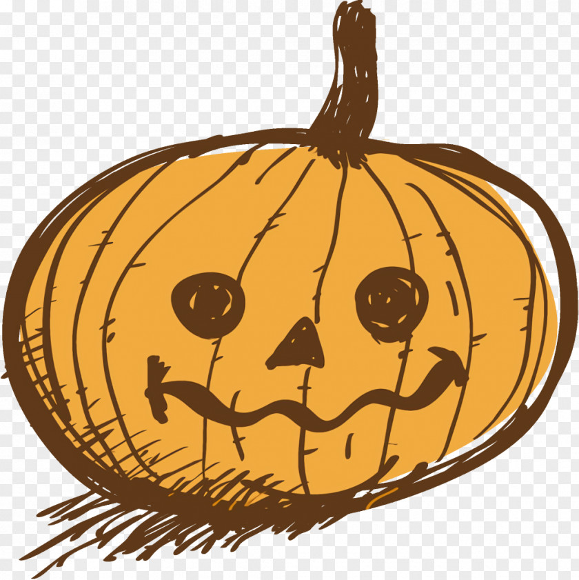 Gourd Winter Squash Jack-o-Lantern Halloween Carved Pumpkin PNG