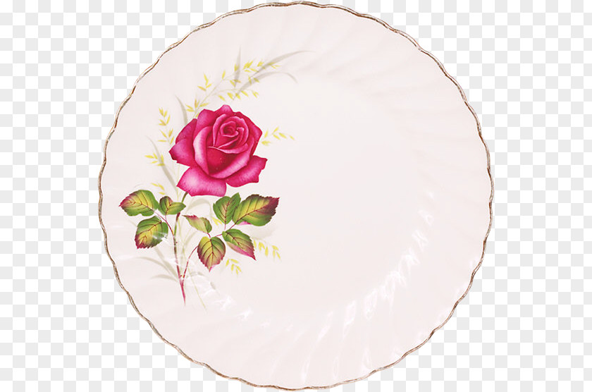 Plate Garden Roses Porcelain Tableware Beach Rose PNG