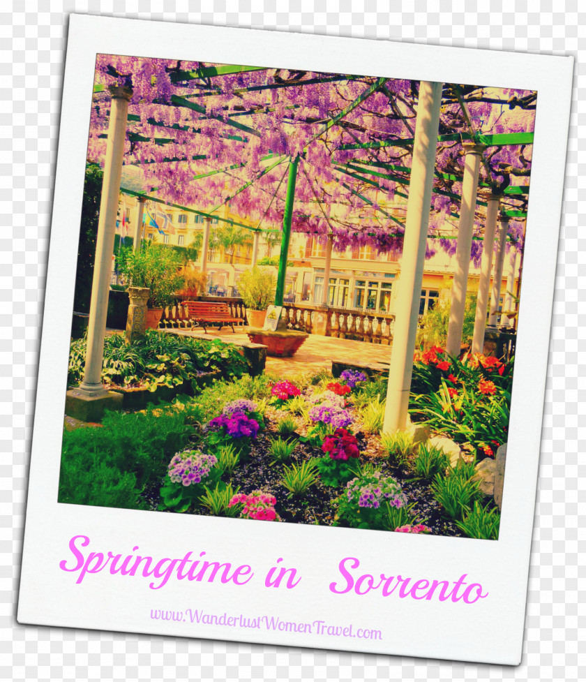 Sorrento Desktop Wallpaper Photograph Floral Design PNG