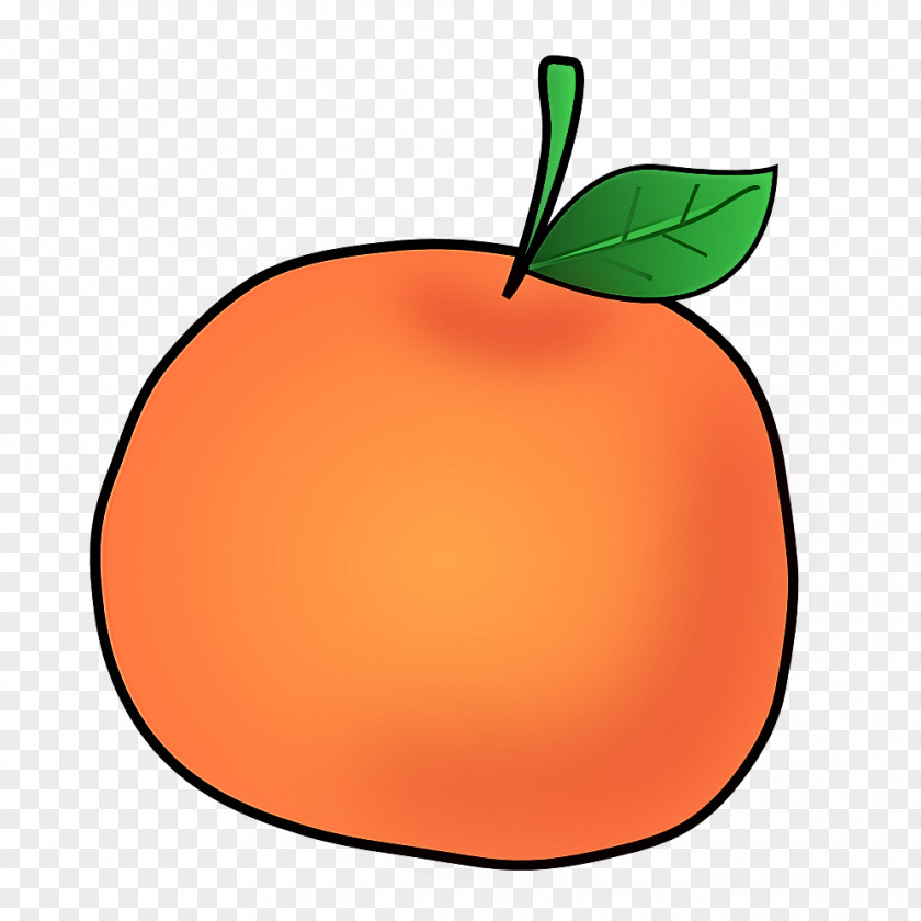 Tree Peach Orange PNG