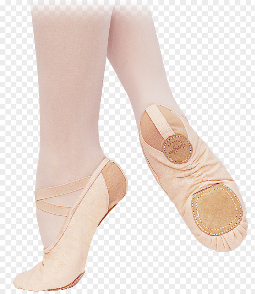 Ballet Shoe Dance Flat Pointe PNG