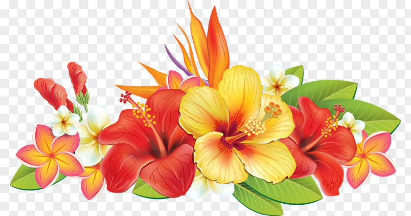 Hand-painted Hibiscus Paper Flower Illustration PNG
