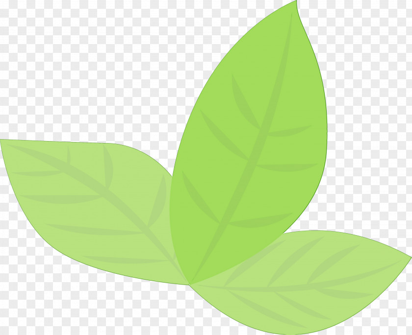 Leaf Green Plant Logo Flower PNG