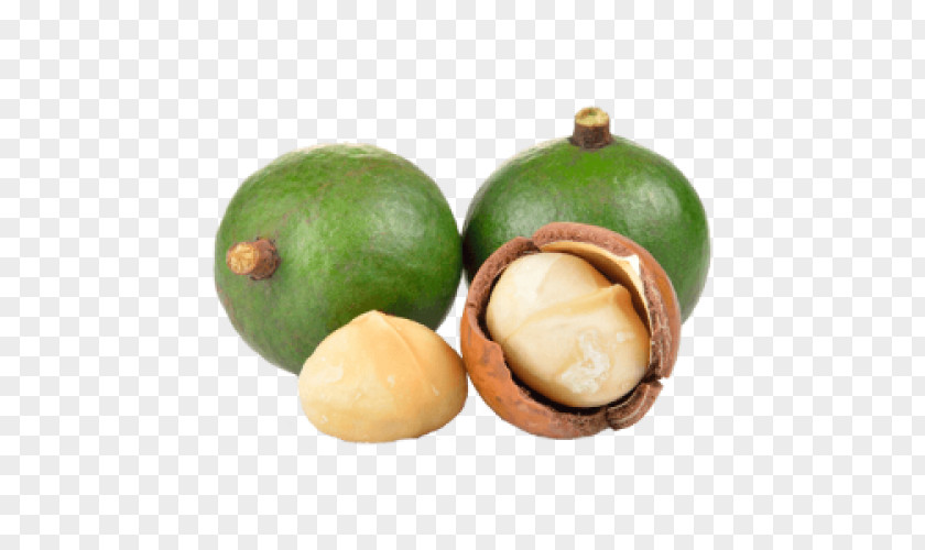 Macadamia Nuts Nut Chocolate Brownie Banana Bread Oil PNG