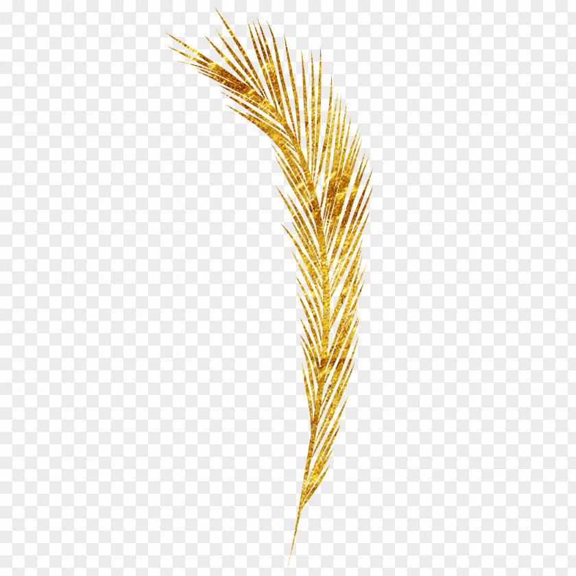 Wheat Emmer Pattern PNG