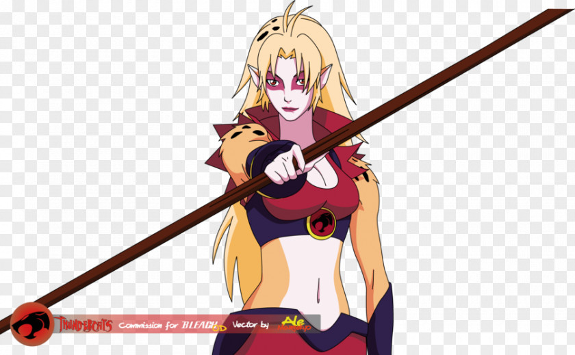 Cheetara Lion-O Character Cartoon PNG