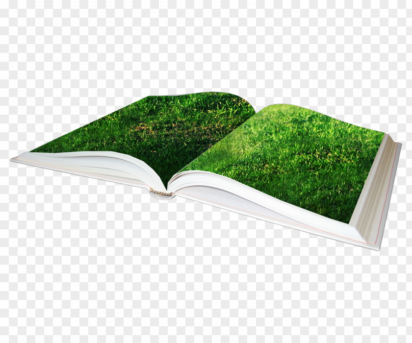 Green Creative Books Clip Art PNG