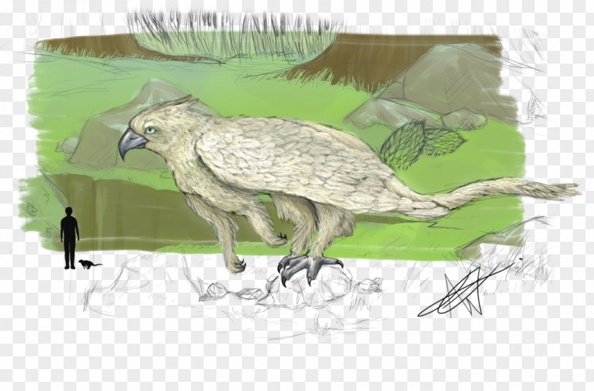 Griffin Creature Beak Ecosystem Fauna Wildlife Feather PNG