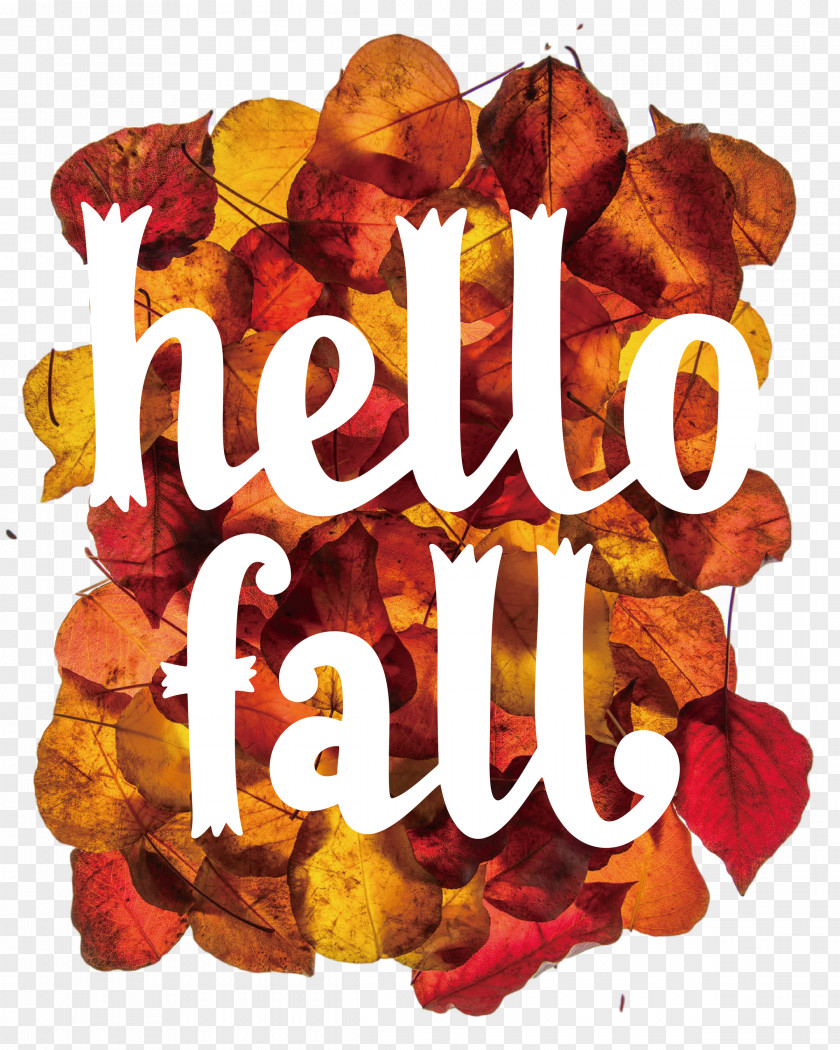 Hello Fall Fall Autumn PNG