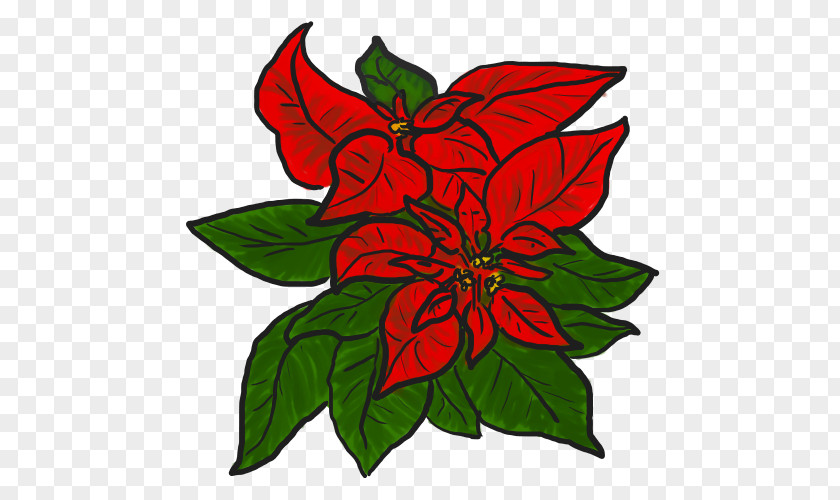 Poinsettia Cliparts Free Content Clip Art PNG