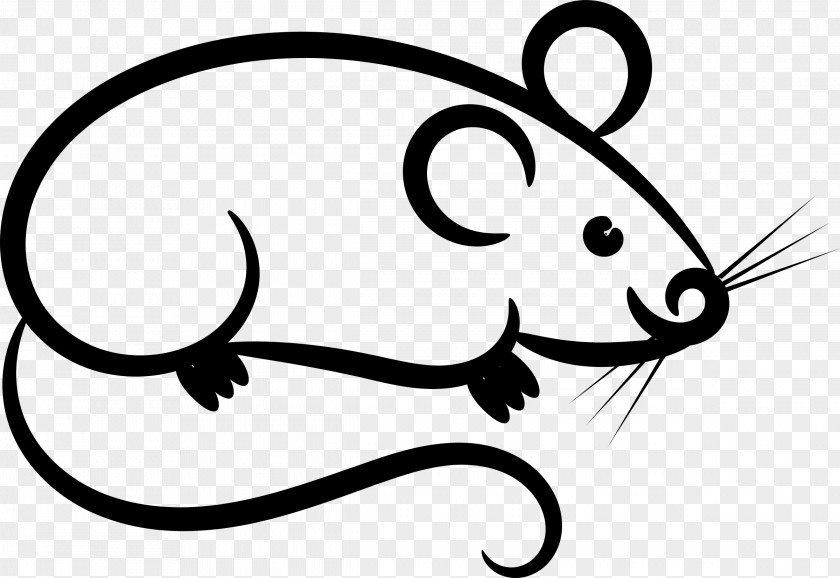 Computer Mouse Microsoft Arc Clip Art PNG