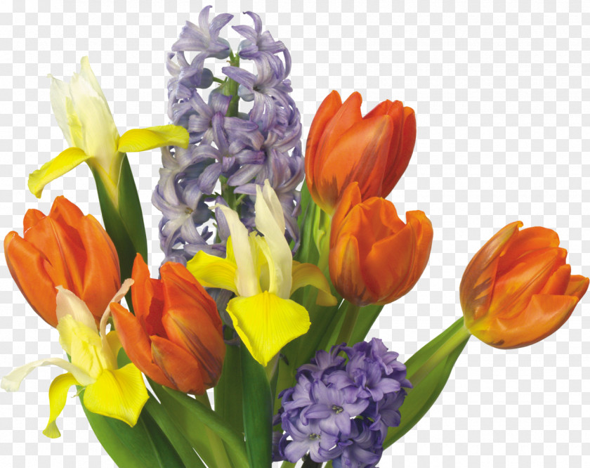 Iris Tulip Flower Bouquet Stock Photography PNG