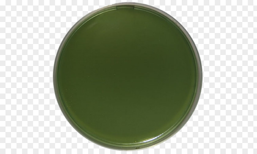Bactericidal Green PNG