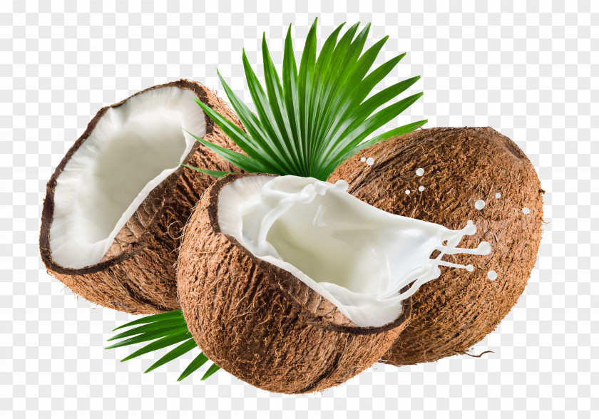 Coconut Milk Water Nata De Coco Oil PNG