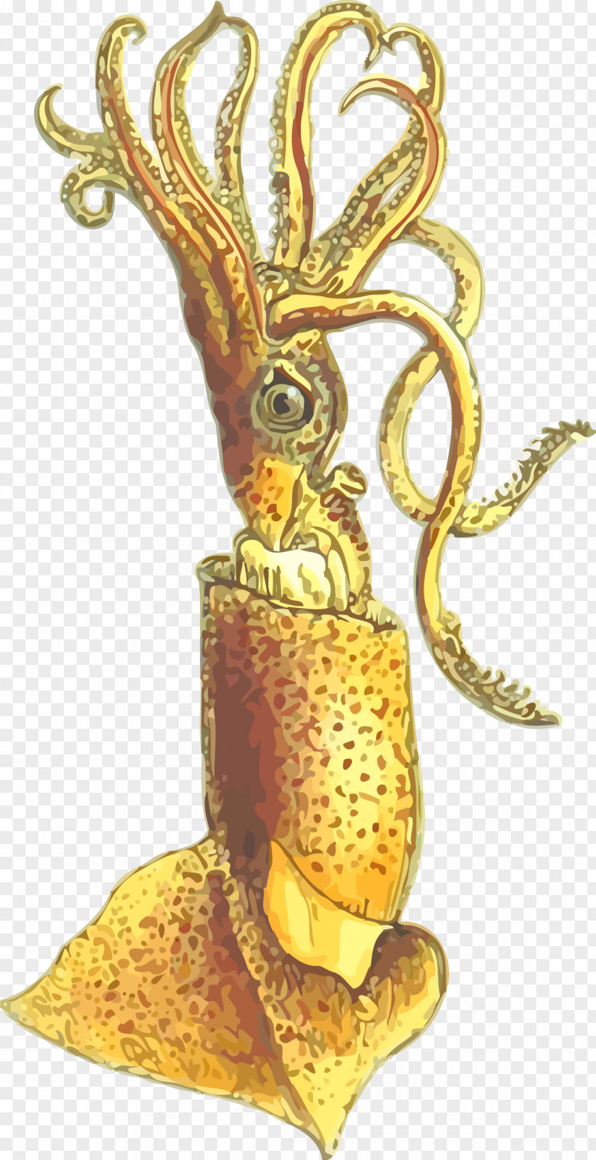 Illustrations Squid Cephalopod Clip Art PNG