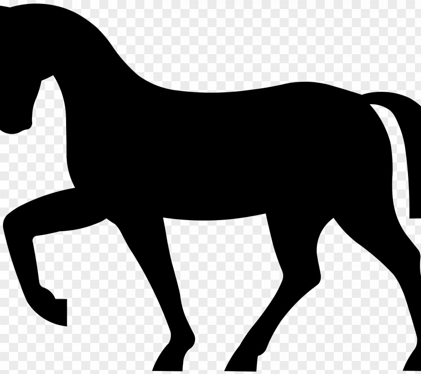 Mustang American Paint Horse Equestrian Clip Art PNG