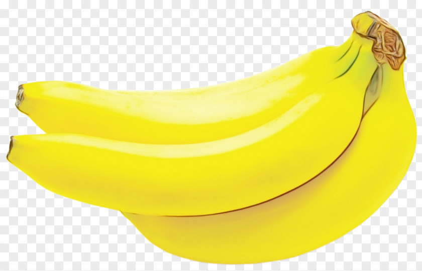 Plastic Saba Banana Family Yellow Fruit Plant PNG