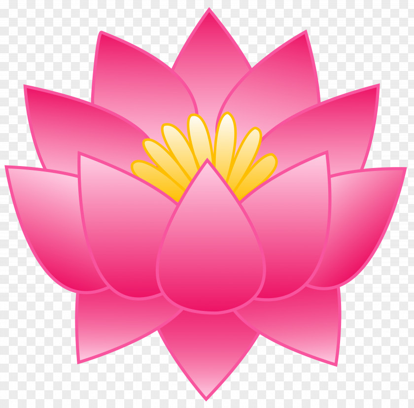 Symmetry Water Lily Drawing Of Family PNG
