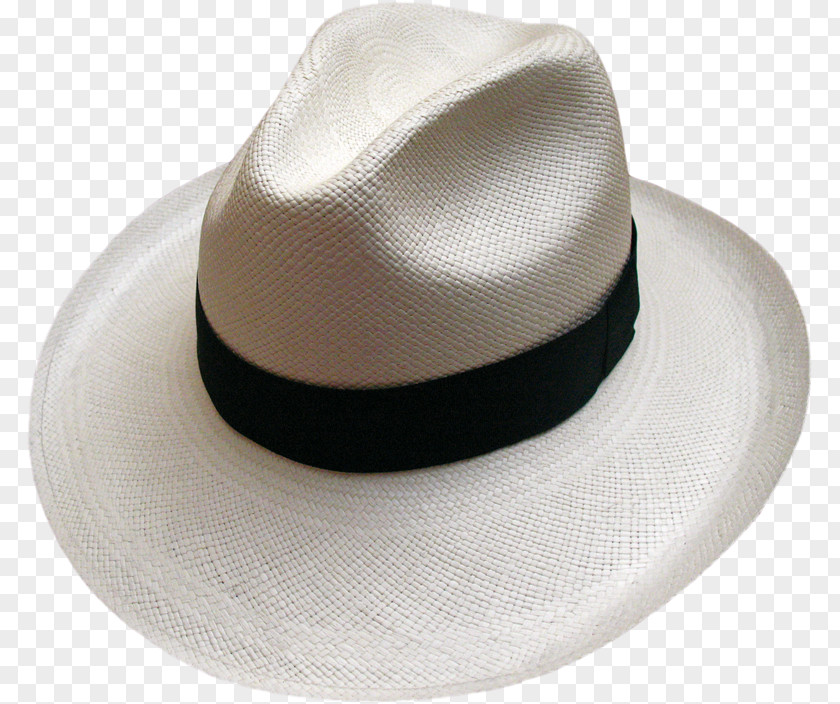 Design Fedora PNG